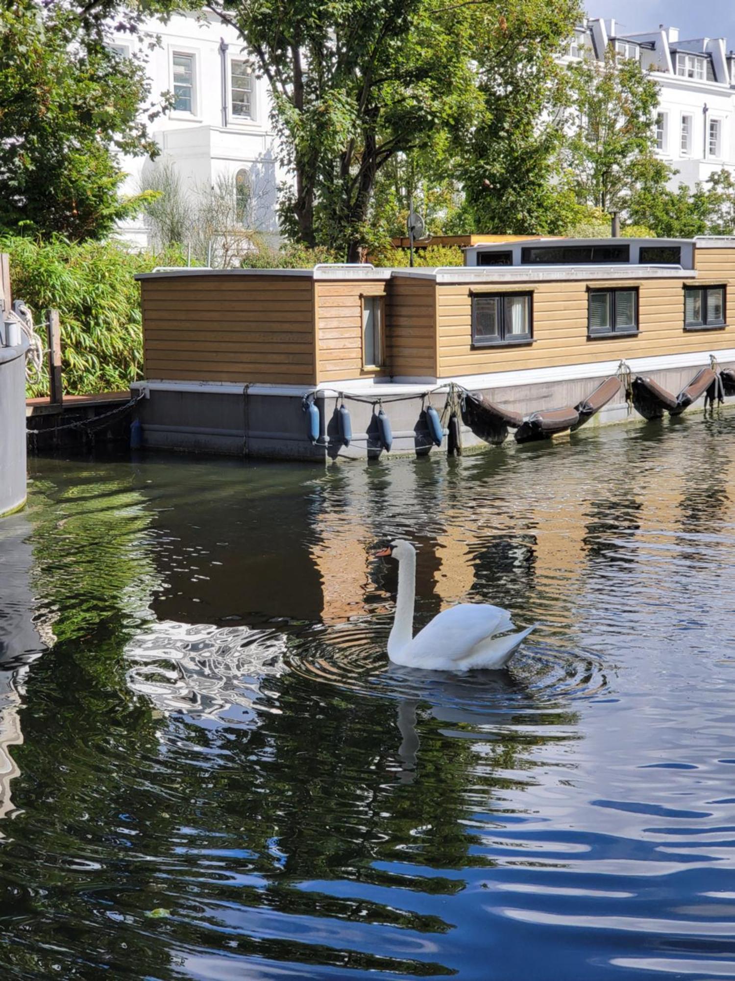 לונדון Lovely Canal Boat In Little Venice For Family & Friends מראה חיצוני תמונה